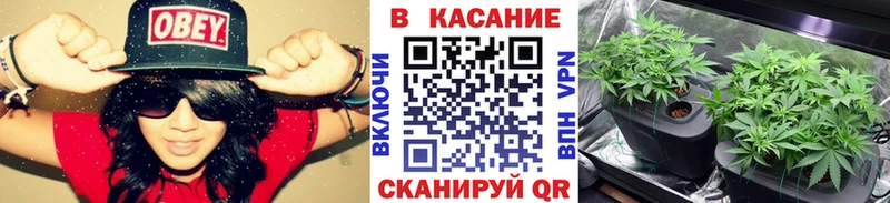  COCAIN Пикалёво