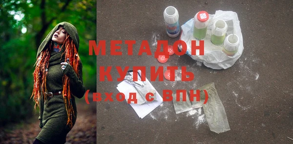 гидра Тавда