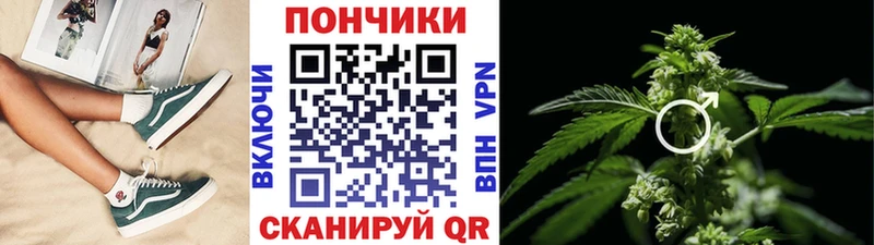 купить наркотик  Пикалёво  Шишки марихуана White Widow 
